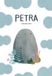 petra book cover