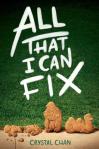 all that I can fix book cover